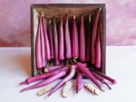 Okinawa Pink Okra