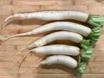 Daikon