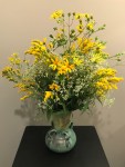 Soldiago, Eutrochium purpereum, Helianthus&nbsp;divaricatus